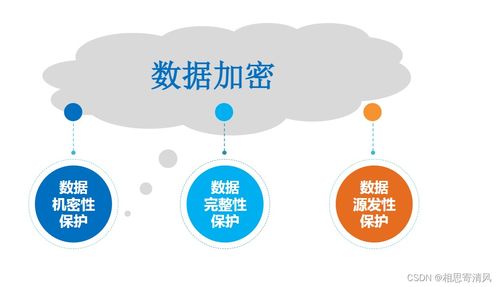 網(wǎng)絡(luò)安全面臨的威脅與網(wǎng)絡(luò)與信息安全軟件開發(fā)的關(guān)鍵作用